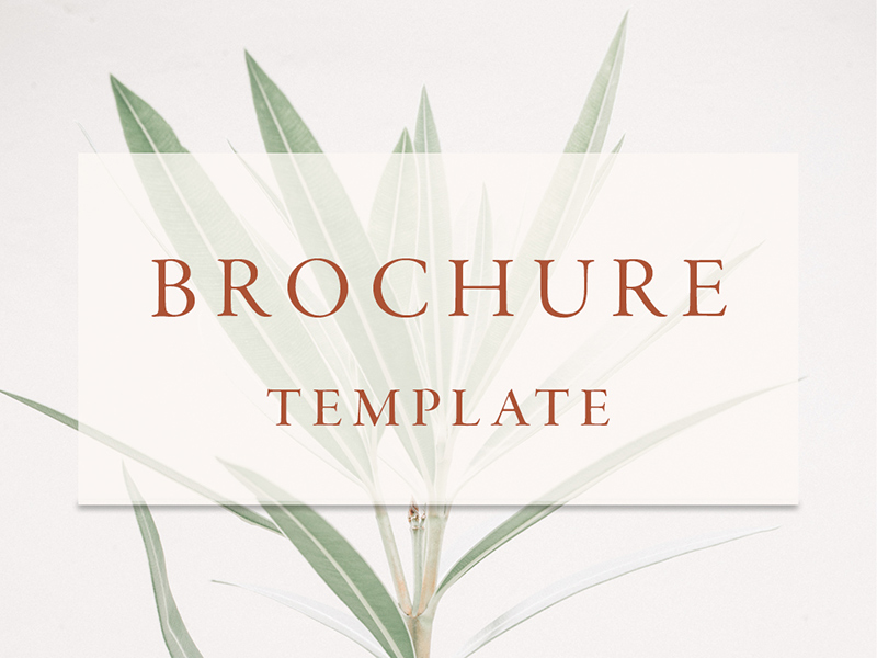 Professional client brochure template for wedding planners designers and stylists
