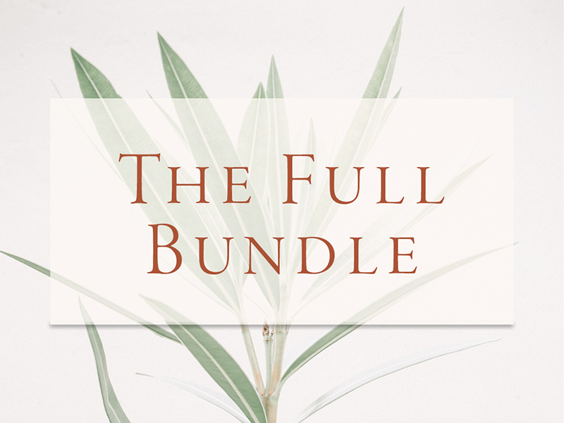 Professional templates for wedding planners designers and stylists